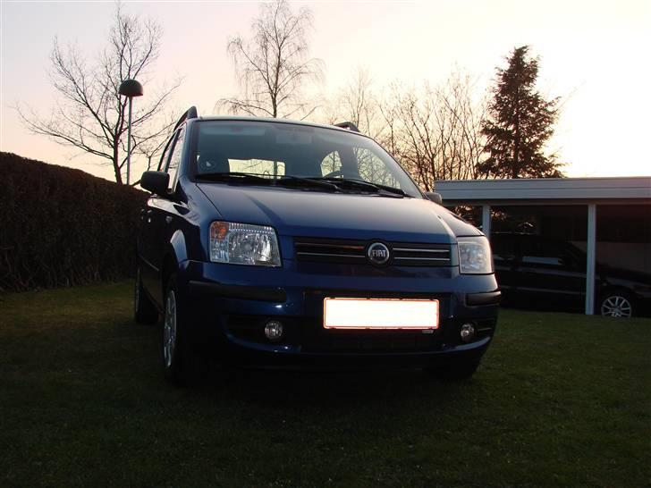 Fiat Panda 1,2 Dynamic billede 1