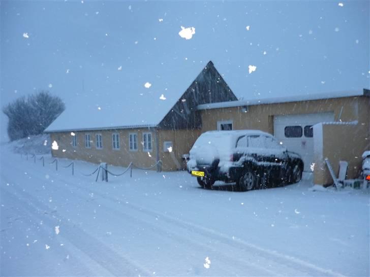 Toyota rav4  solgt billede 8