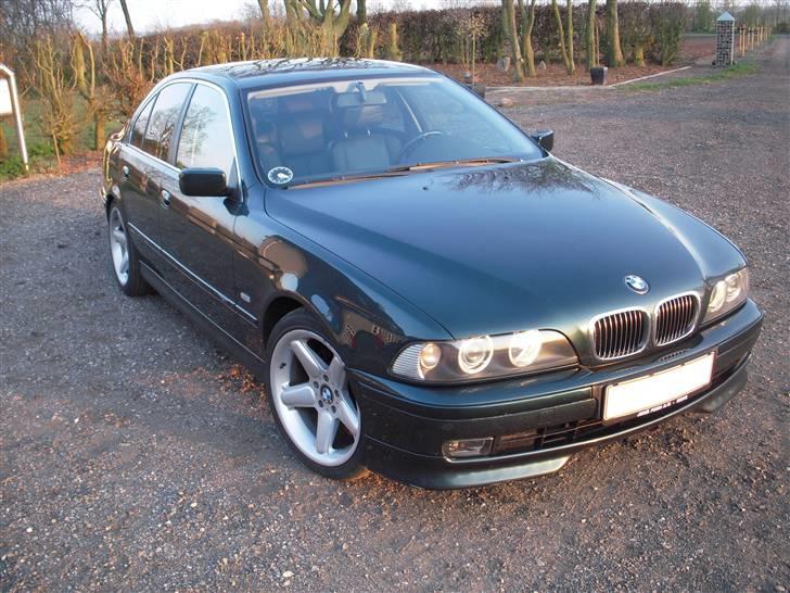 BMW E39 - 523i  - SOLGT - Før sænkning billede 3