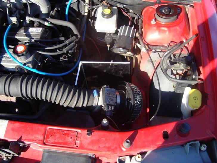 Ford Orion billede 12