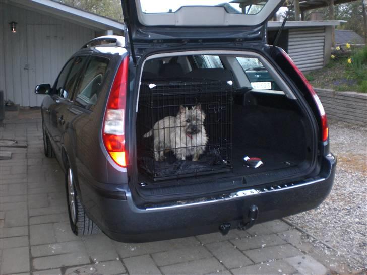 Ford Mondeo ~TDCI 2,0~ - Løven i sit bur... billede 10