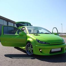 Peugeot  206 Hdi DFB09 3 KERMIT
