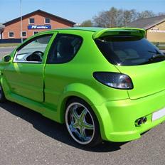 Peugeot  206 Hdi DFB09 3 KERMIT