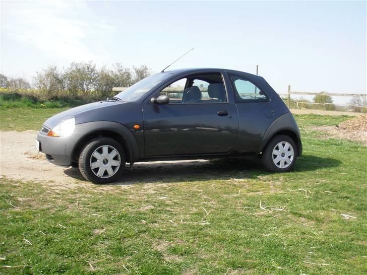 Ford KA - Min lille baby <3 billede 1