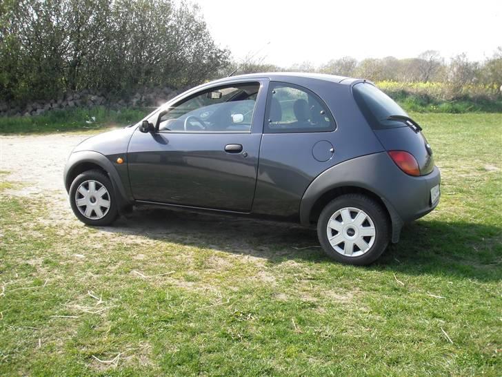 Ford KA - Hestebilen. . . billede 3