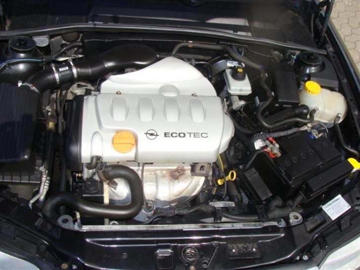 Opel Vectra B - Z18XE billede 10