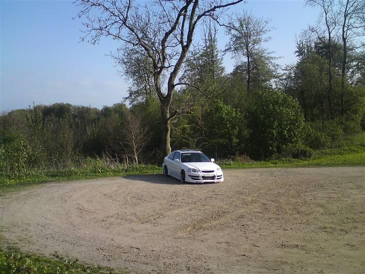 Honda civic coupe  billede 3