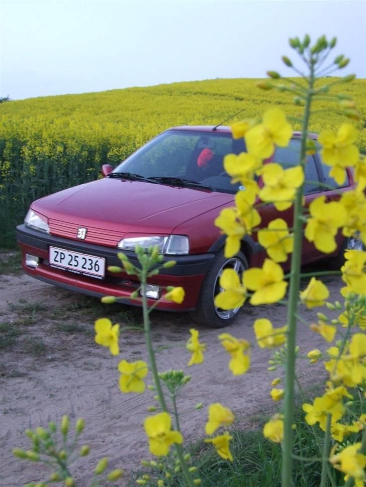 Peugeot 106 1,6 XSI  - solgt :( - Taget d. 29 april 2009 billede 16