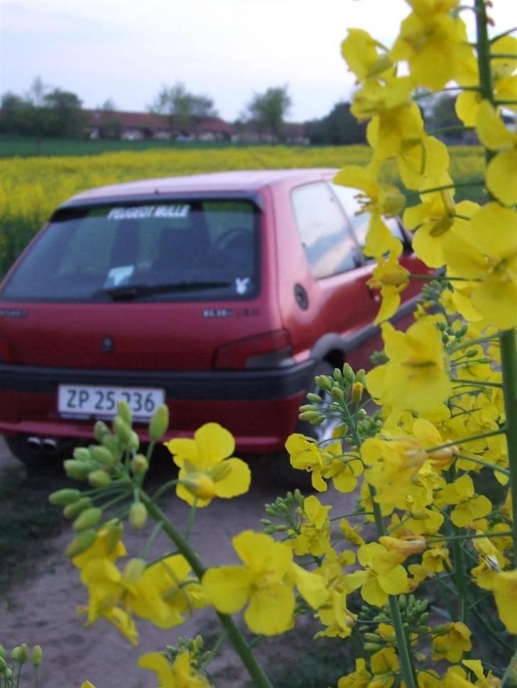 Peugeot 106 1,6 XSI  - solgt :( - Taget d. 29 april 2009 billede 17