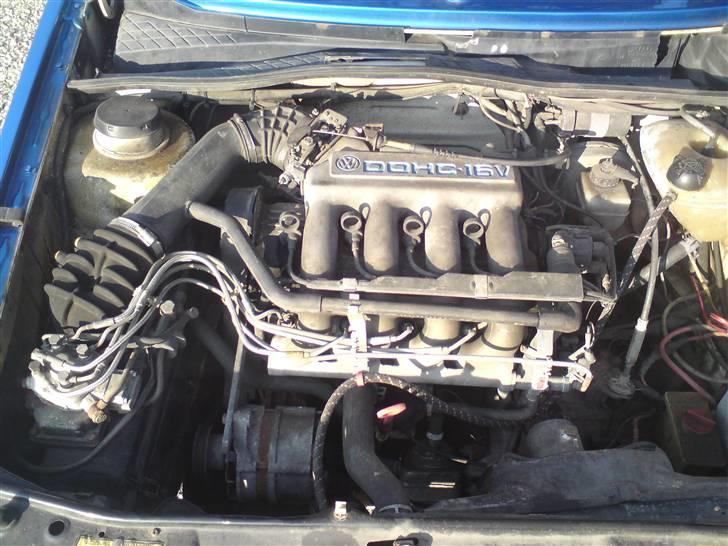 VW Golf 2 - 16v, ik det tøse 8v pjat :D billede 11