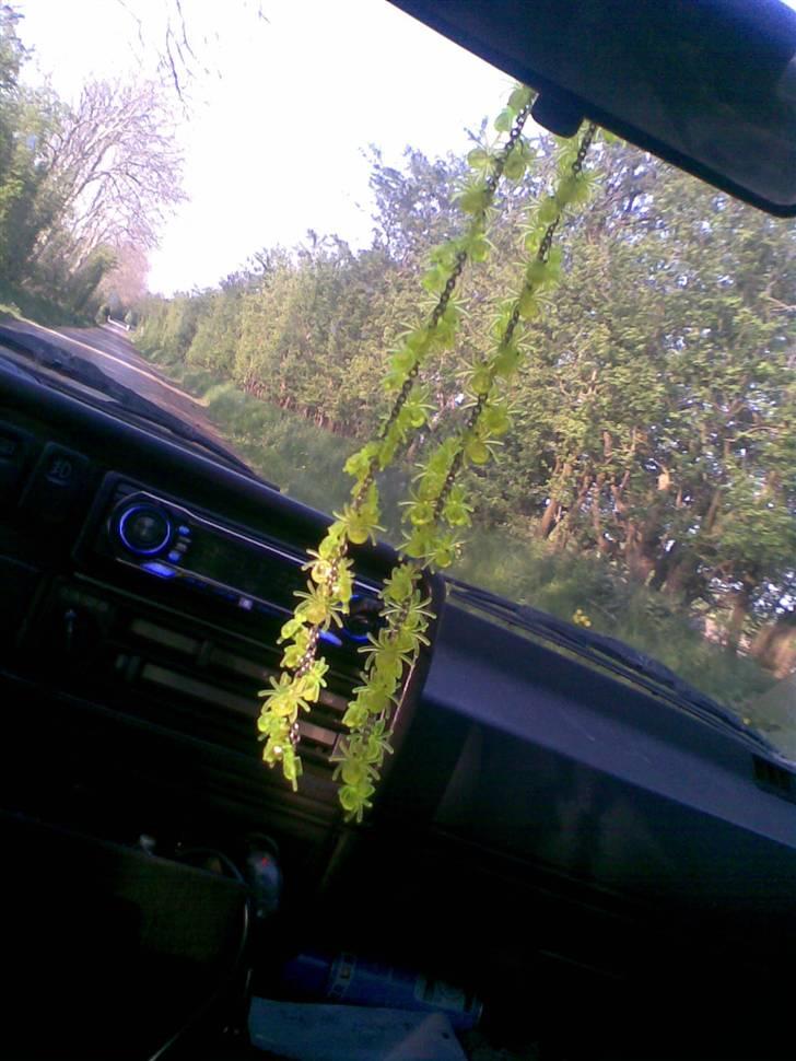 VW Golf 2 (Den Semirøde) - Mine 78 dejlige gule edderkopper (: billede 3