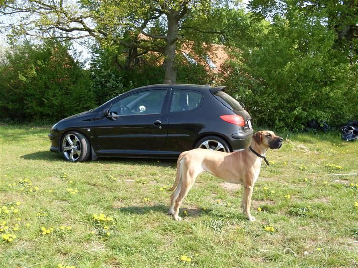 Peugeot 206 S16 billede 13