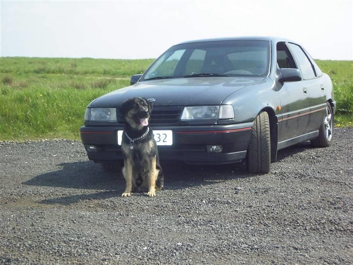 Opel Vectra a GT  SOLGT! billede 9