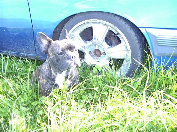 Opel ascona billede 7