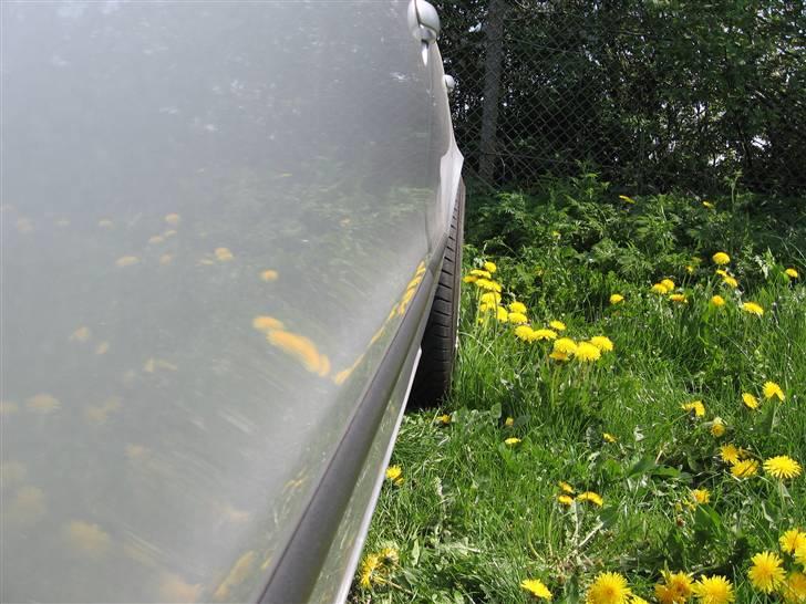 Seat Toledo Sport billede 15