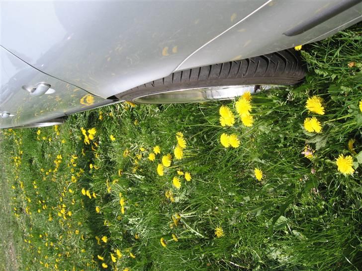 Seat Toledo Sport billede 16