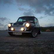 Rover mini cooper