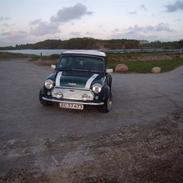 Rover mini cooper