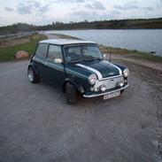 Rover mini cooper