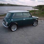 Rover mini cooper