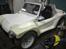 VW Beach buggy -Projekt