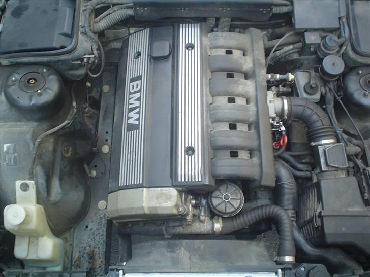 BMW 525i E34 (SOLGT) - vask miig billede 3
