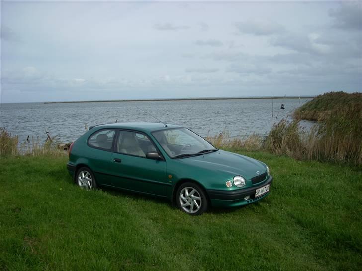 Toyota Corolla E11 billede 10