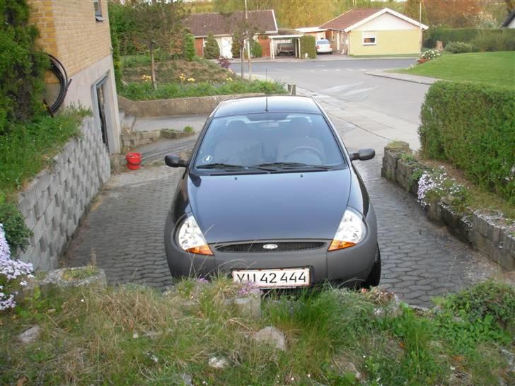 Ford KA - Vasket billede 4