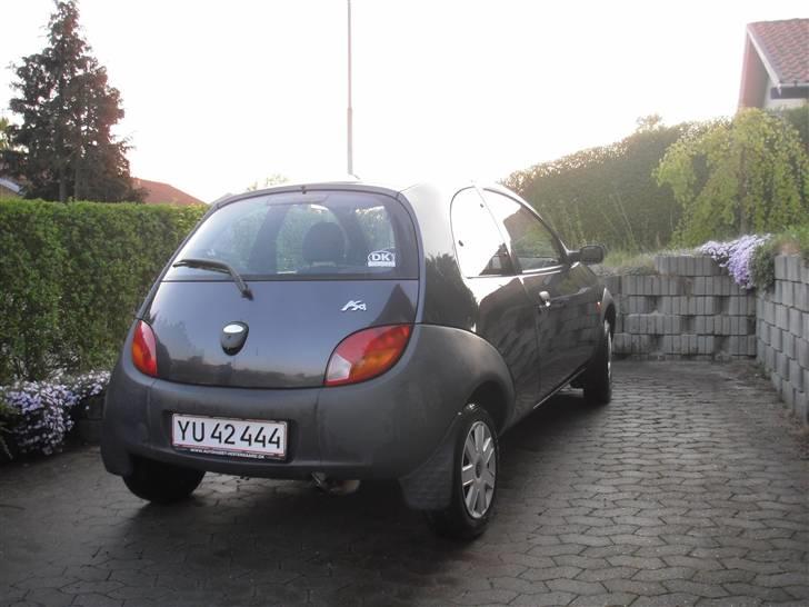 Ford KA - Go røv XD billede 6