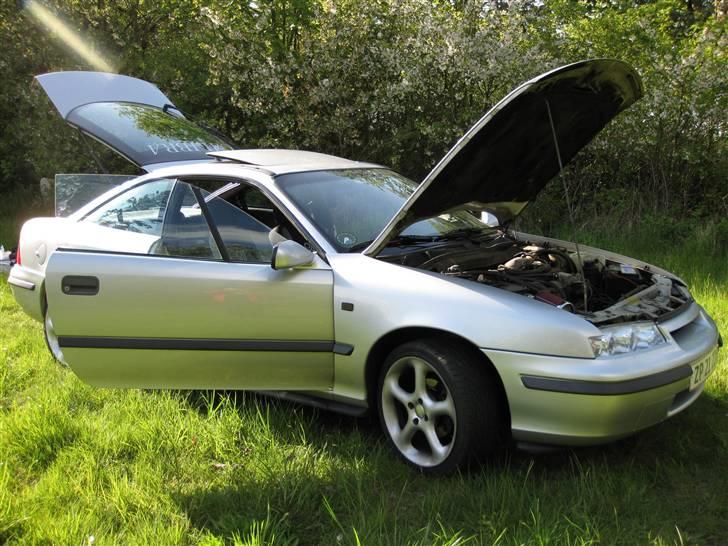 Opel Calibra billede 17