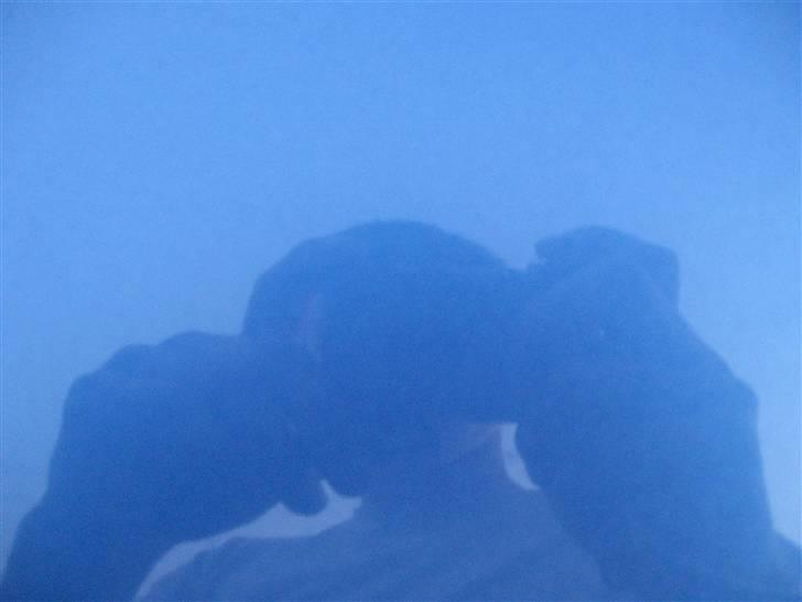 Citroën Saxo 1,5D <<<Solgt>>> billede 6