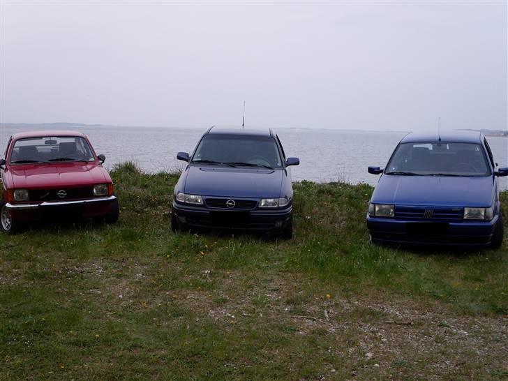 Fiat Tipo DGT TILSALG billede 9