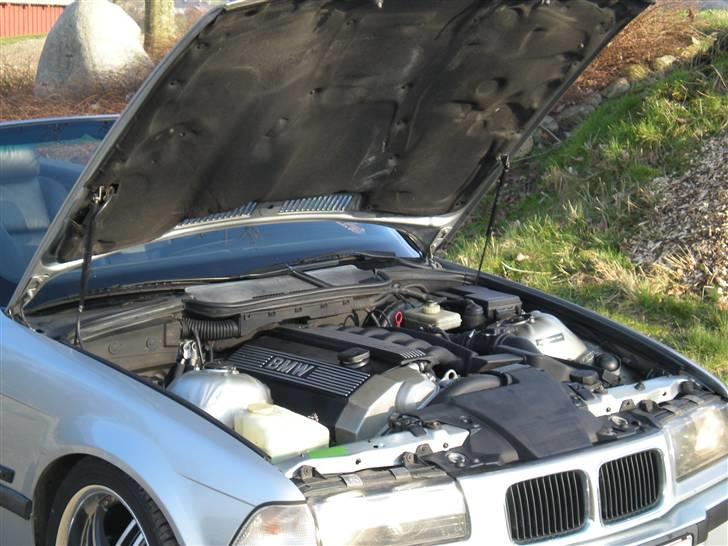 BMW 328 cabriolet billede 5