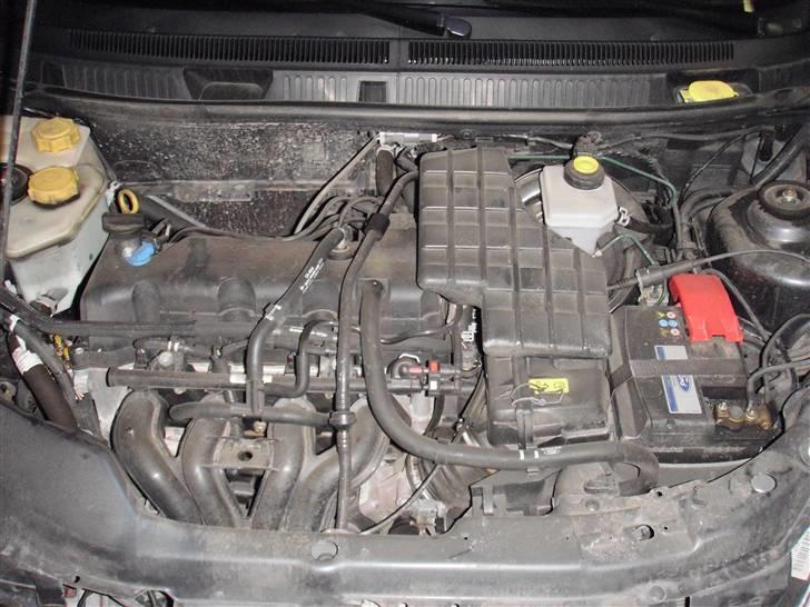 Ford KA - jah.. =/ aner ikk lige hva alle dimserne er til.. XD men jeg kan se den er beskidt.. {dirty Ka} - (hvor har de gemt hestene henne..? =/ ) billede 9