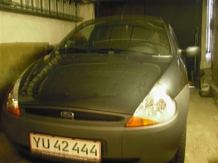 Ford KA - Ka´en får lige lov at sove i Astra´ens seng =] billede 10