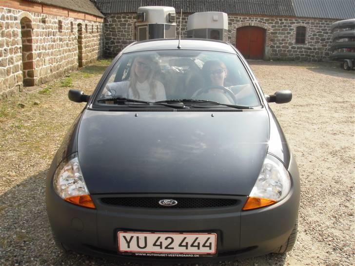 Ford KA - Helt sikkert en tøsebil.. <3 billede 16