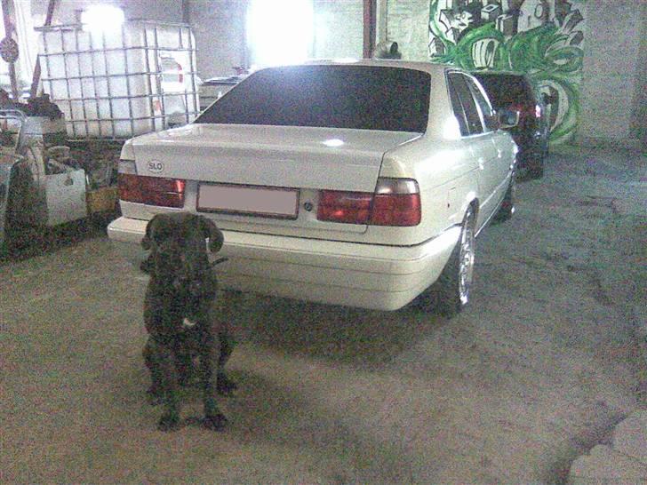 BMW E34 518i - Figo billede 20