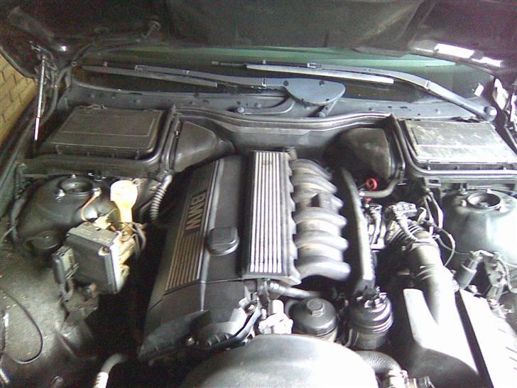 BMW 523i e39 Solgt! - dejlig maskine billede 2