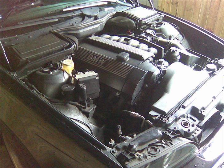 BMW 523i e39 Solgt! - Jah, hvis du vil fremad i flokken, skal der stå BMW på blokken.. :-) billede 3