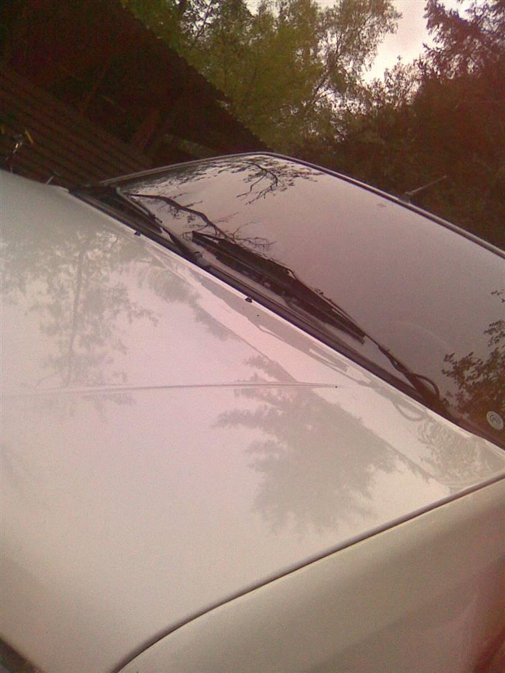 Peugeot 205 1.4 (Begravet) billede 16