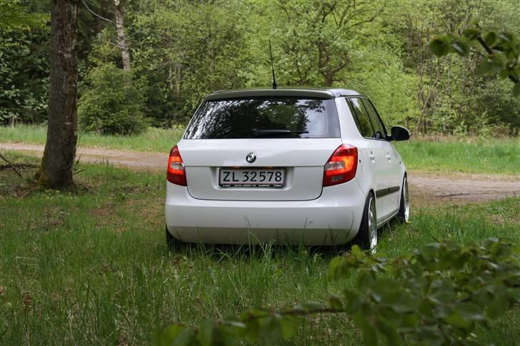 Skoda Fabia Greenline billede 18