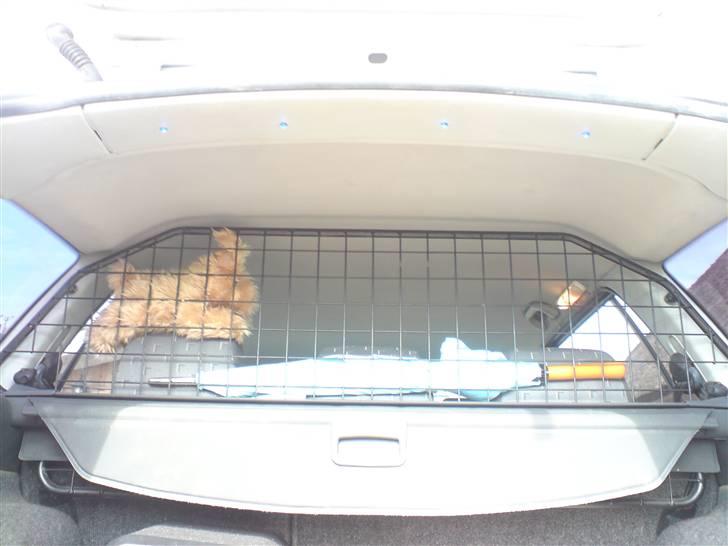 Skoda octavia combi SOLGT billede 3