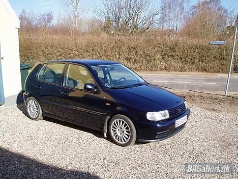 VW Polo 6n billede 8