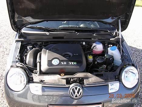VW Lupo 1,2 TDi 3 L " SOLGT  billede 9