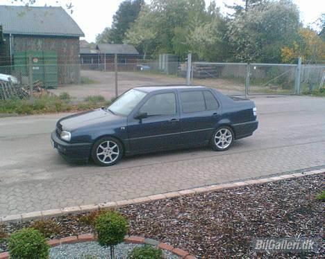 VW '''''''' vento billede 3