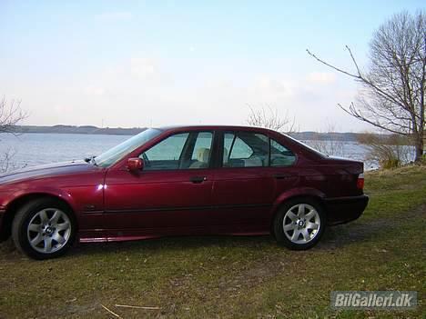 BMW 318i billede 6