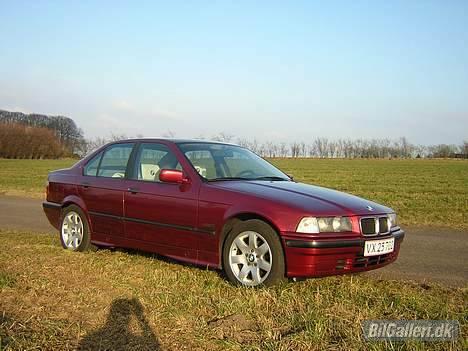 BMW 318i billede 5
