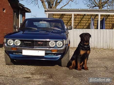 Toyota celica solgt billede 3