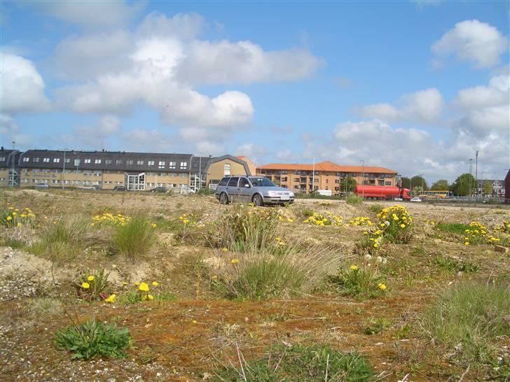 VW Golf 4 Tdi Variant  Solgt billede 7