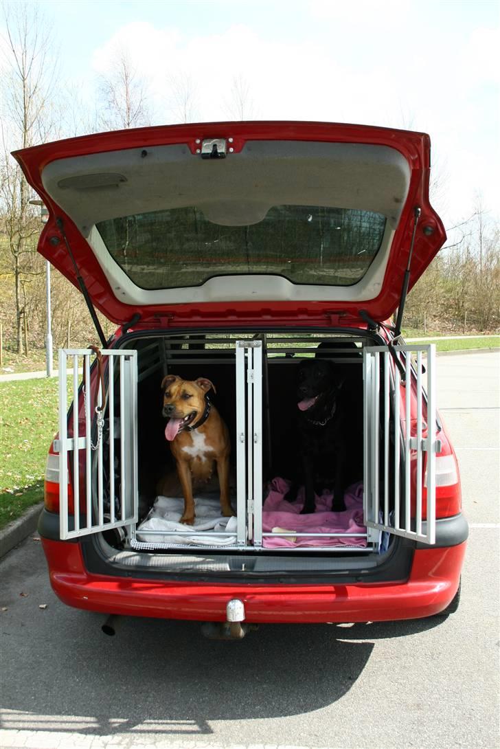 Opel vectra B solgt billede 10